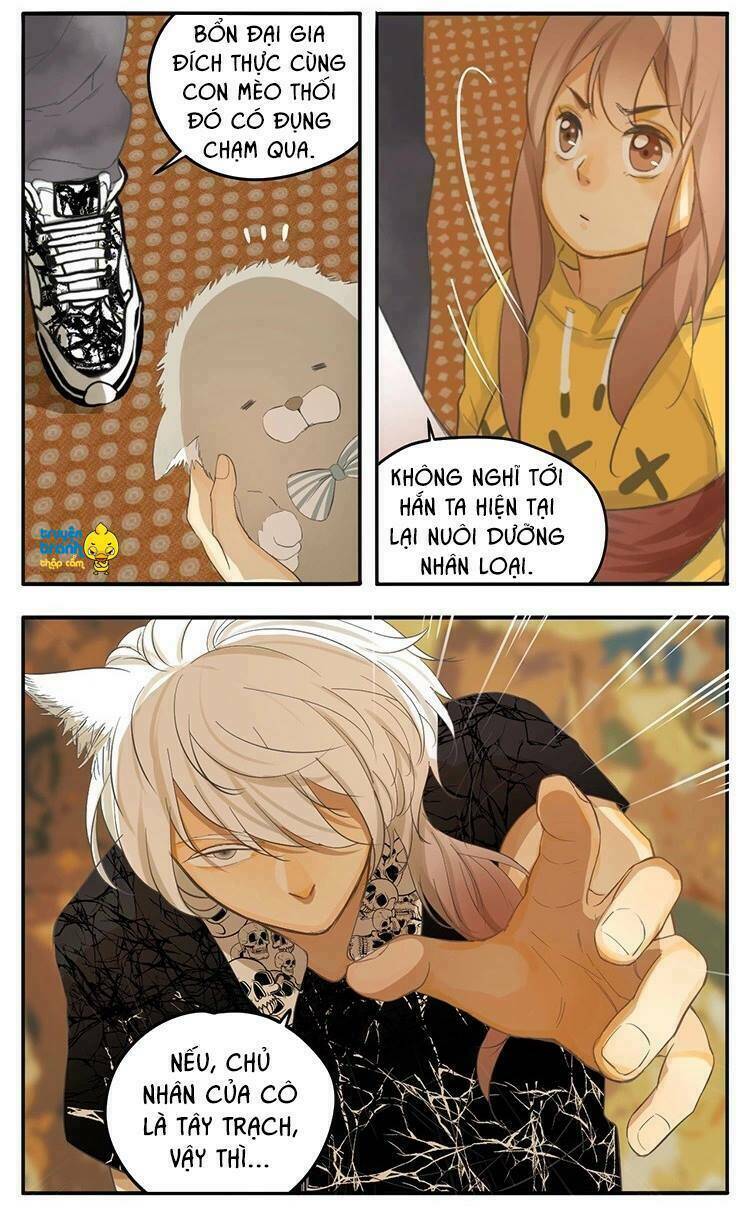 Cứu Mạng! Loài Mèo Thống Trị Thế Giới Rồi!: Chapter 20