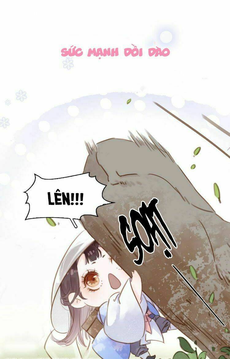 Tiểu Sư Phụ, Tóc Giả Của Ngài Rơi Rồi!: Chapter 0