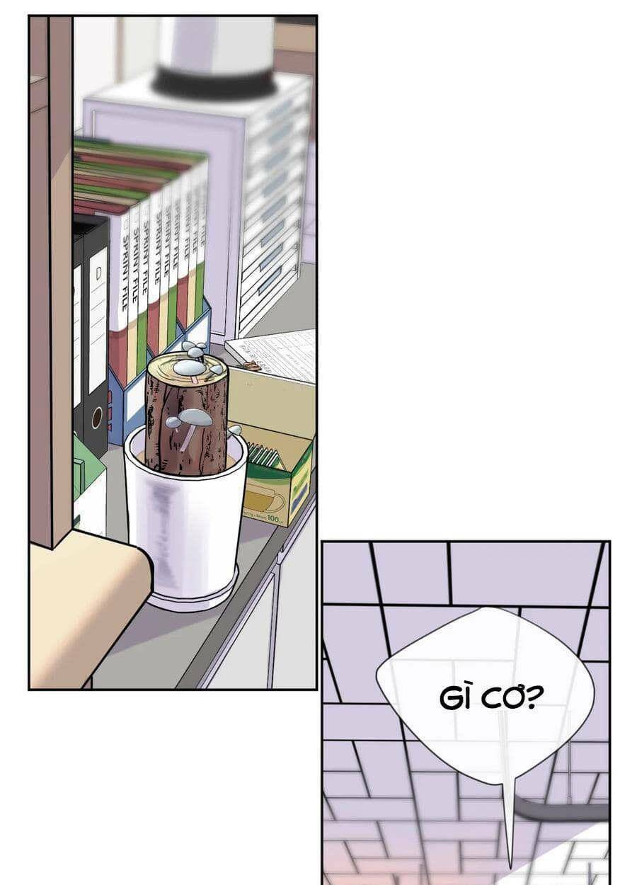 Nhật Ký Nấm Ma Cô: Chapter 3