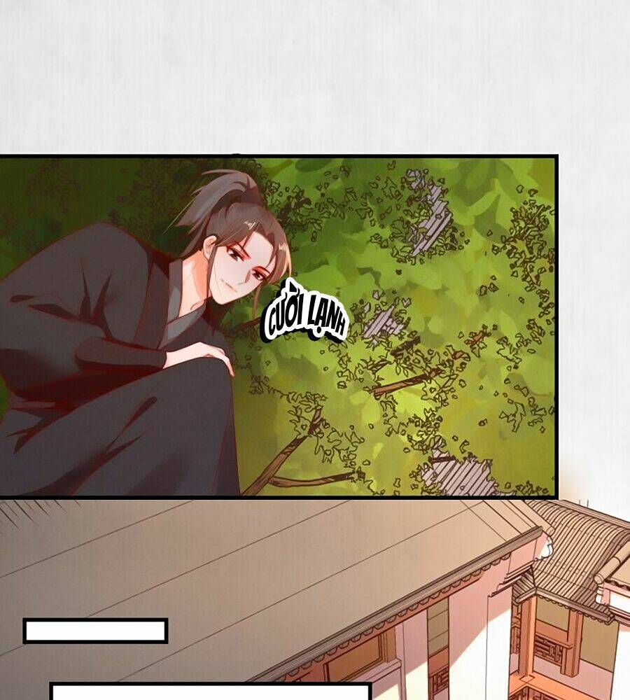 Hoạn Phi Hoàn Triều: Chapter 98