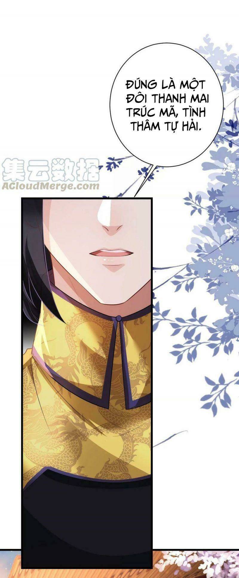 Quận Chúa Vững Vàng, Thiết Lập Nhân Vật Không Thể Vỡ: Chapter 78