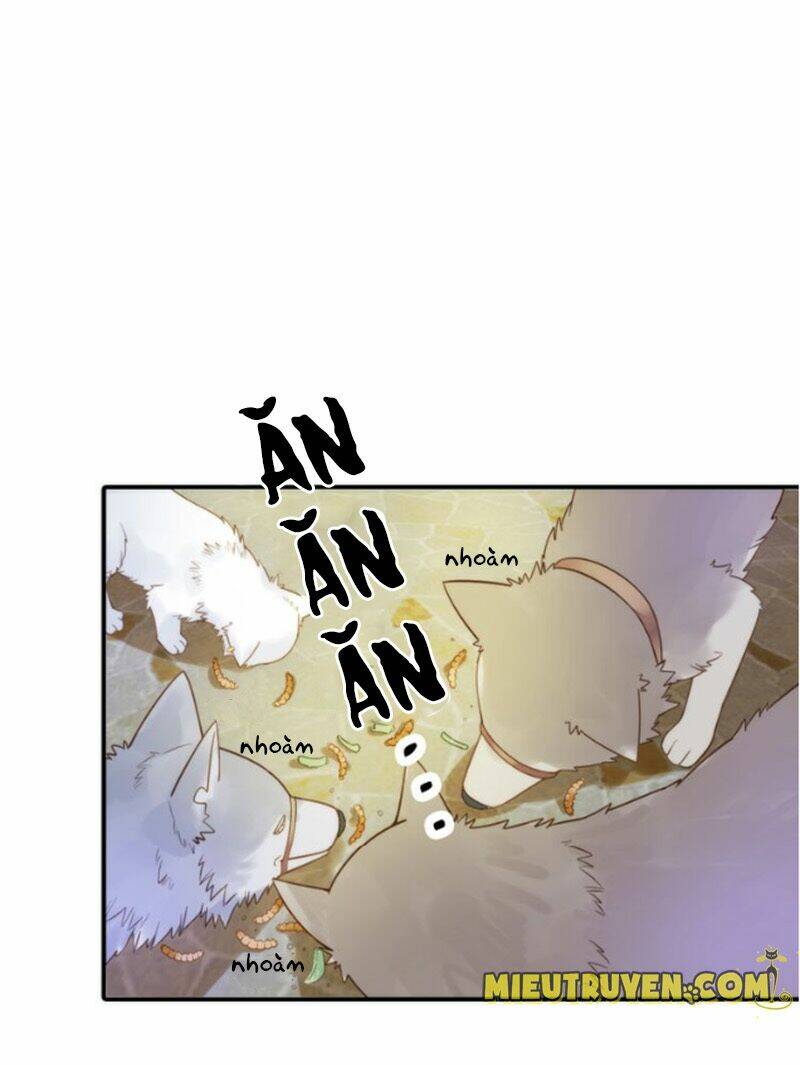 Cướp Chàng Vợ Về Đón Năm Mới: Chapter 10