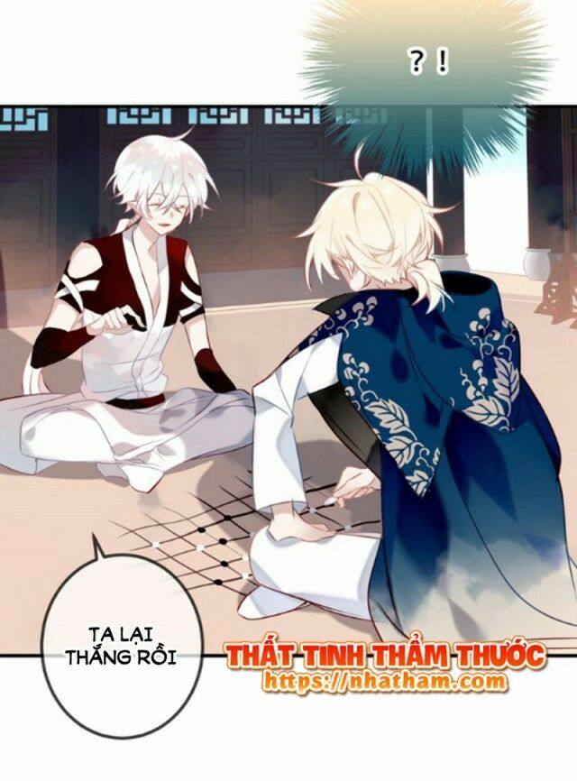 Ngô hoàng tại thượng: Chapter 40
