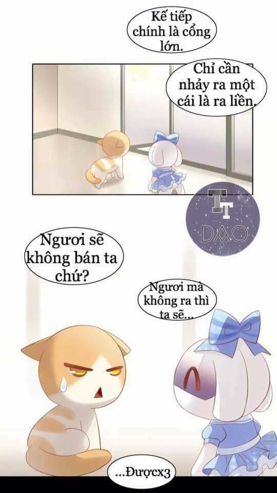 Dưới Móng Vuốt Mèo: Chapter 7