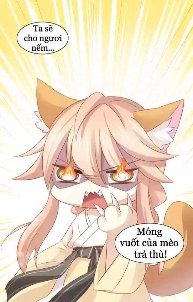 Dưới Móng Vuốt Mèo: Chapter 12