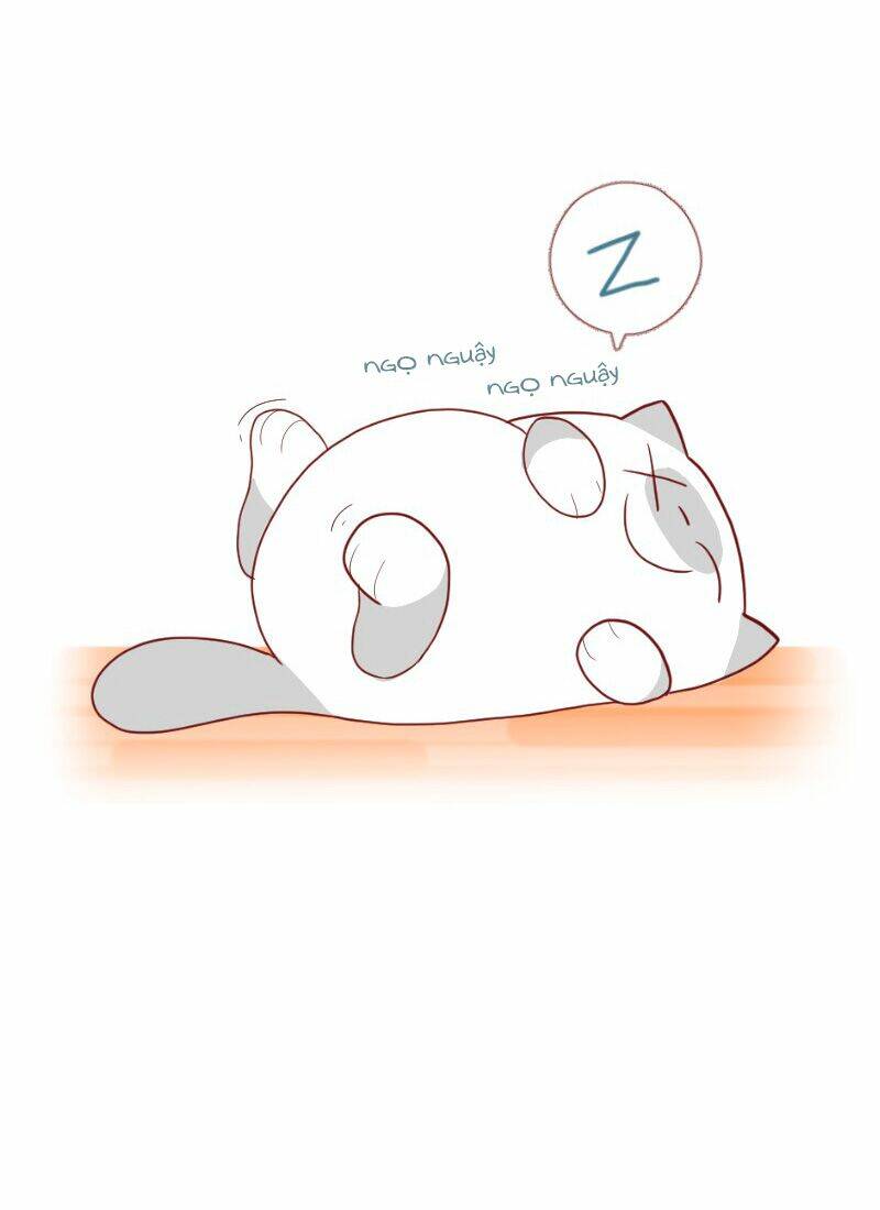 Saphie: Chú mèo một mắt: Chapter 4