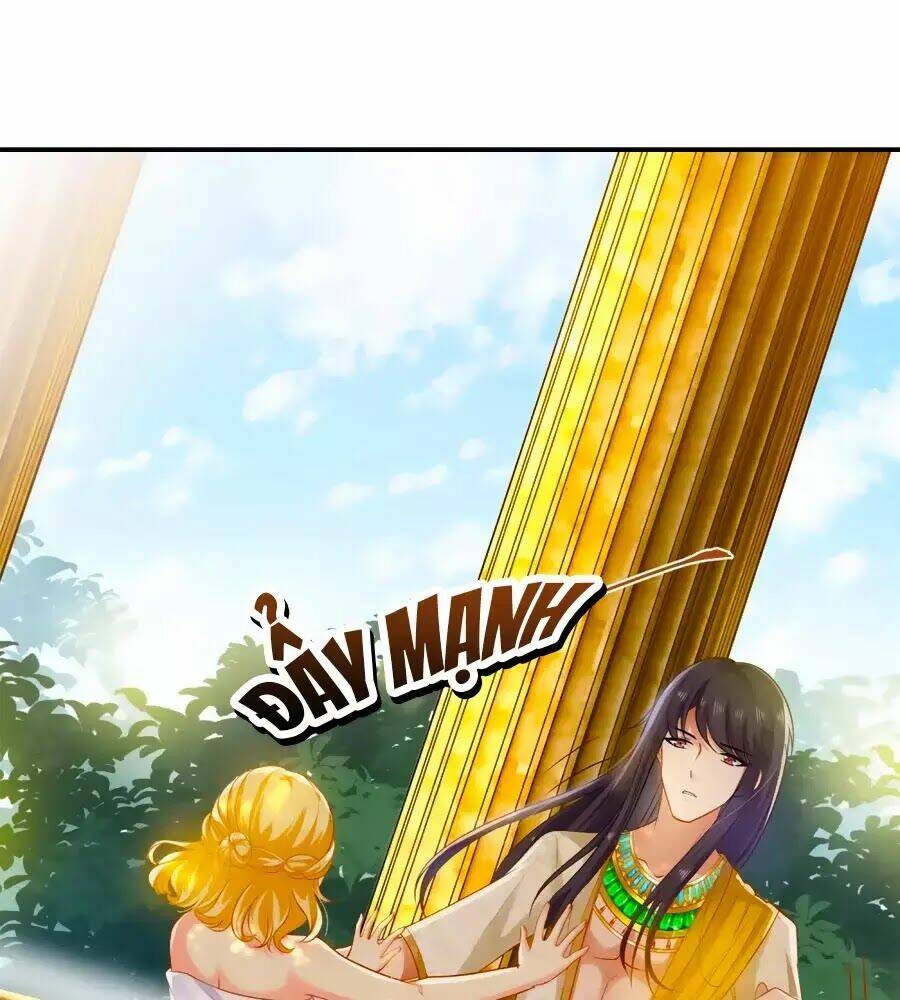 Sủng Hậu Của Vương: Chapter 5