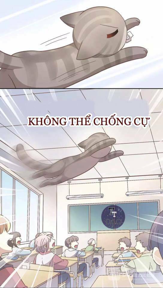 Dưới Móng Vuốt Mèo: Chapter 21