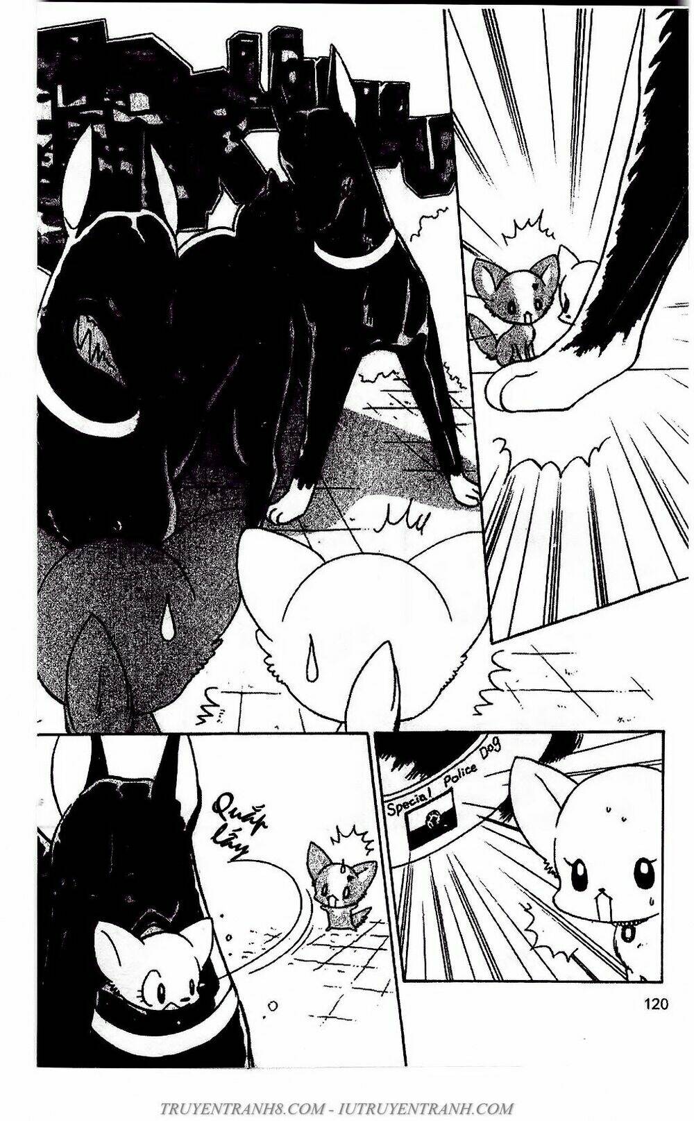 Bộ Sưu Tập Lọ Lem: Chapter 51