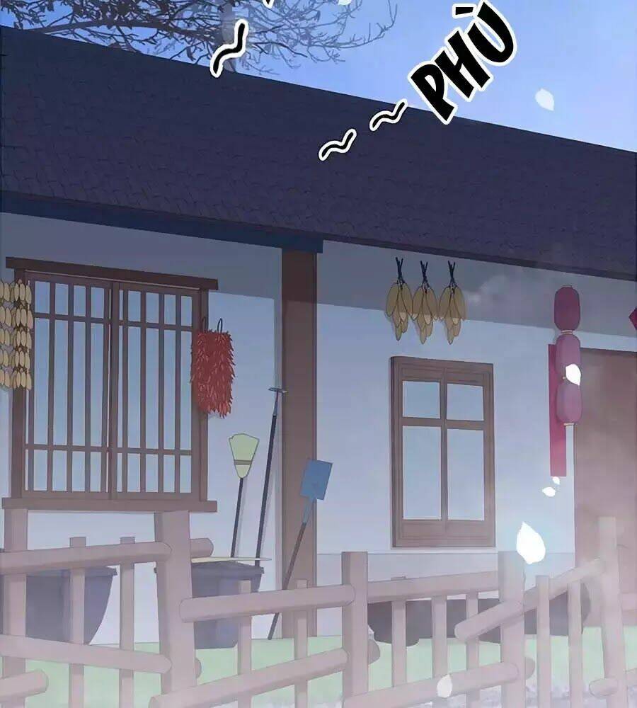 Tiểu Sư Phụ, Tóc Giả Của Ngài Rơi Rồi!: Chapter 14