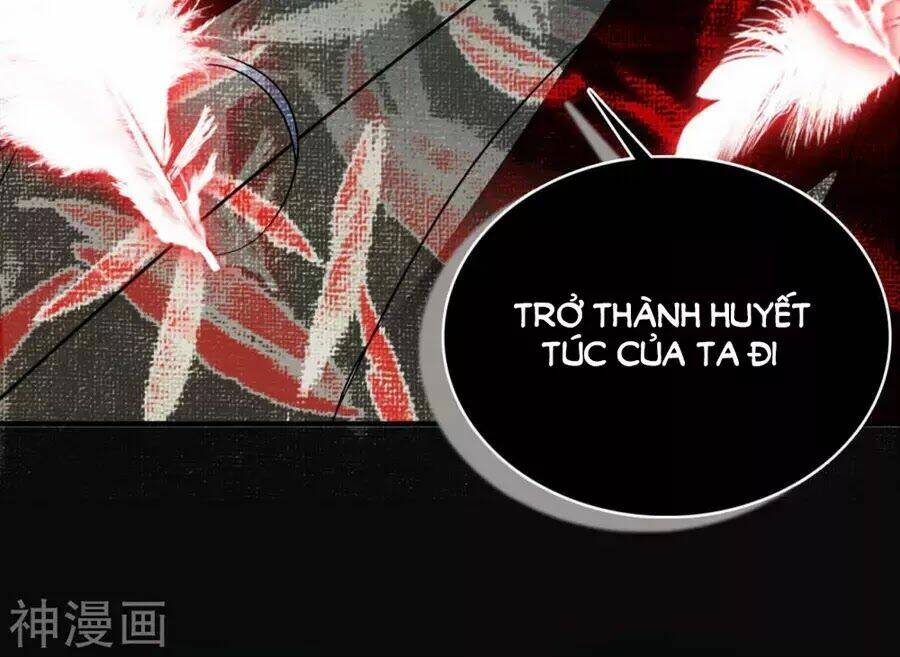 Huyết Túc Khế Ứớc: Chapter 1