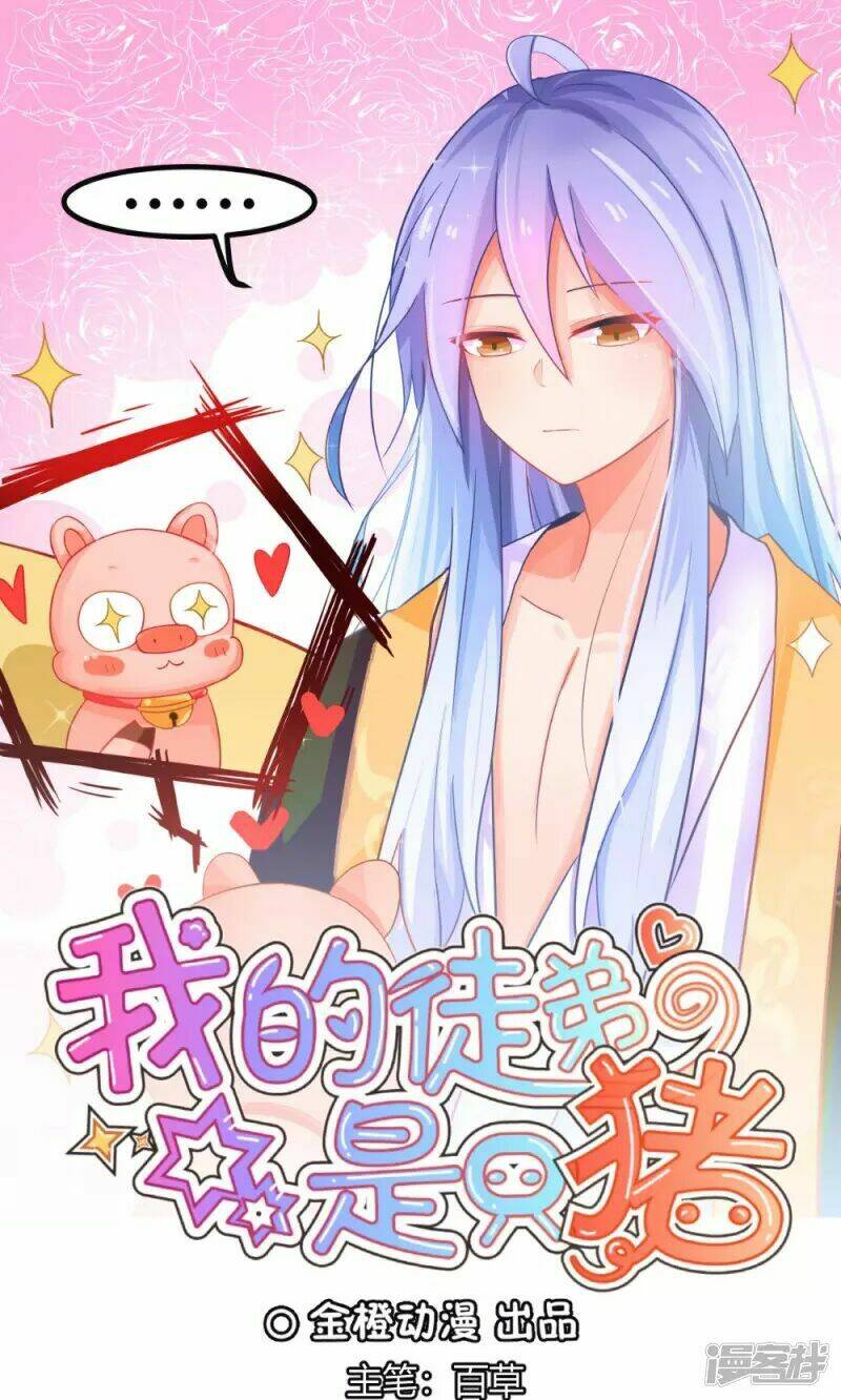 Đệ Tử Của Ta Là Heo: Chapter 3