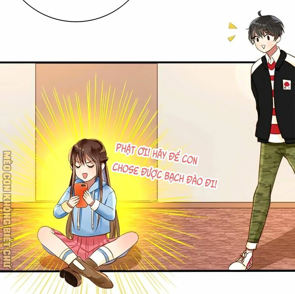 Không Có Ssr Làm Sao Để Yêu: Chapter 5