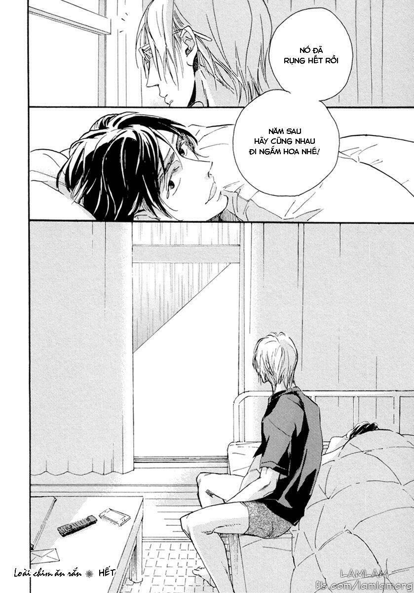 Hebikui Tori: Chapter 3