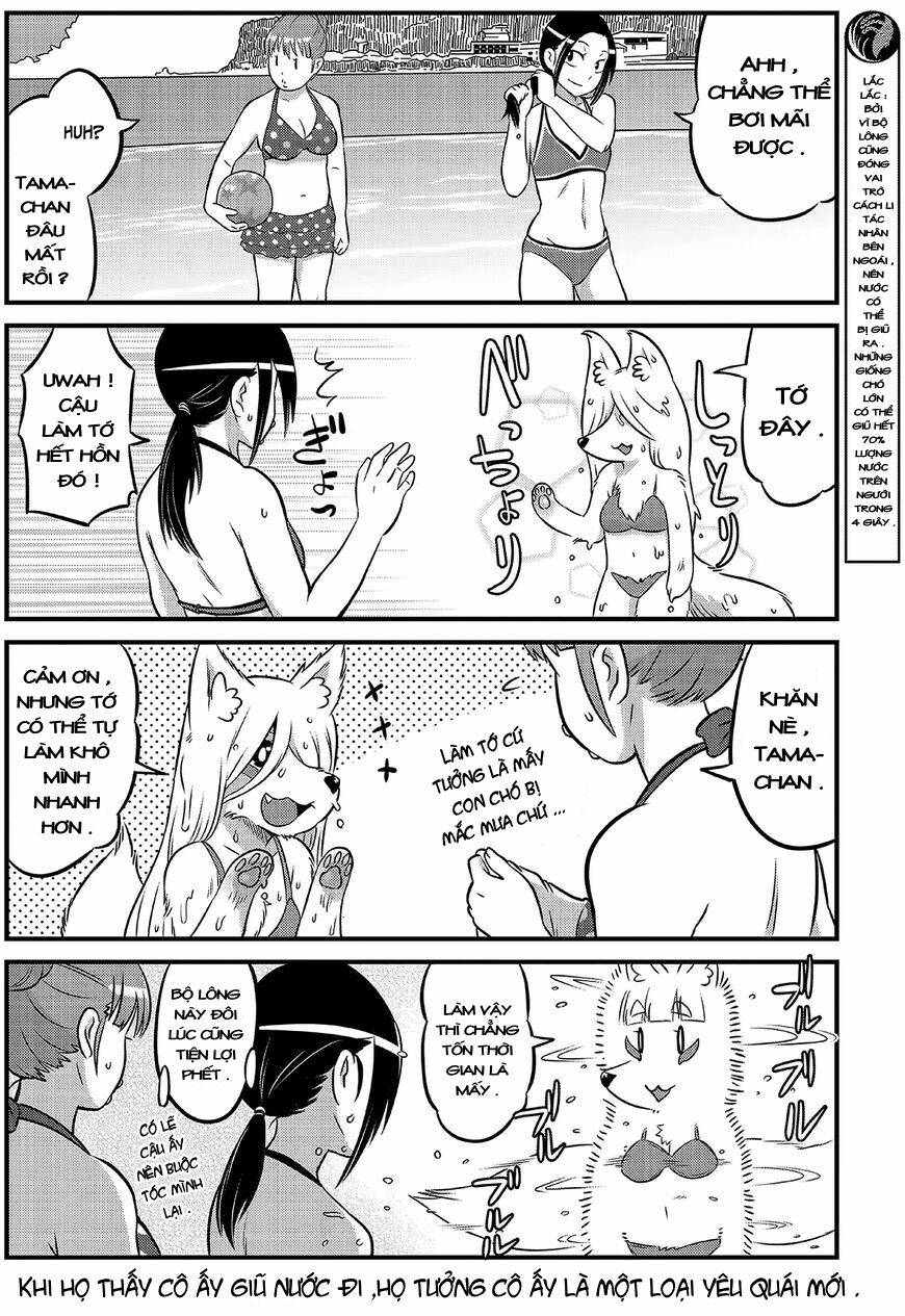 High School Inari Tamamo-Chan: Chapter 14