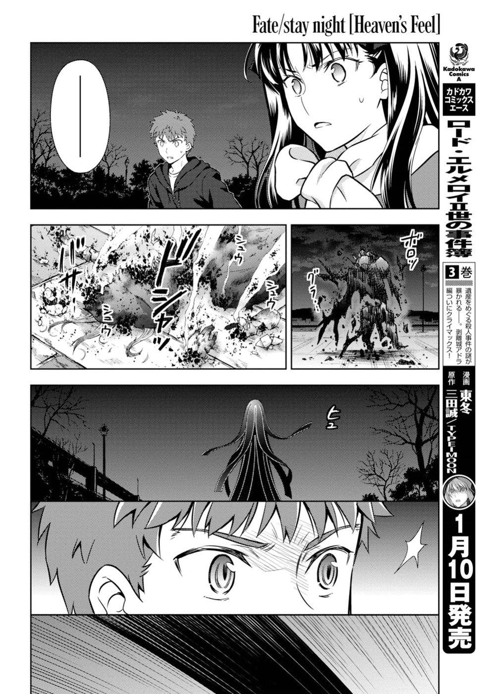 Fate/Stay Night Heaven's Feel: Chapter 45