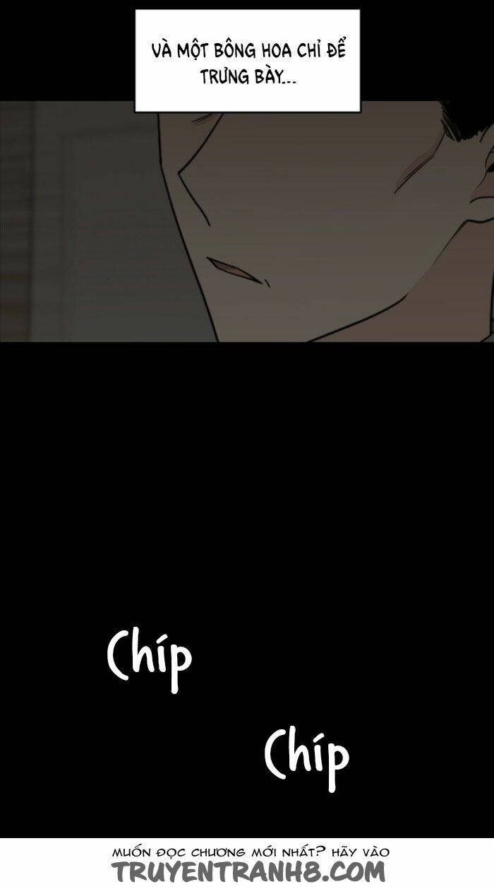 Người Đẹp Gangnam: Chapter 32