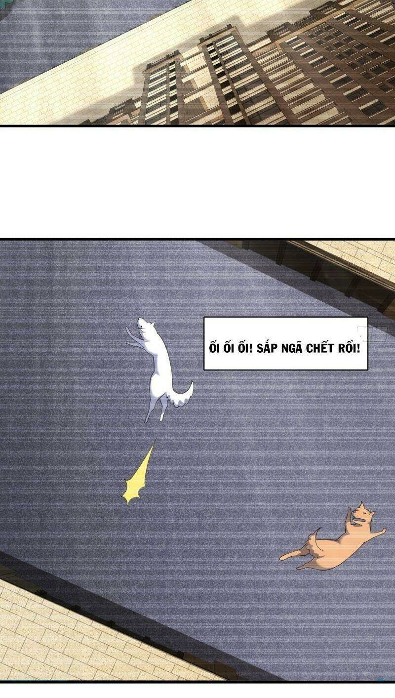 Hệ Thống Bái Kim Siêu Cấp: Chapter 19