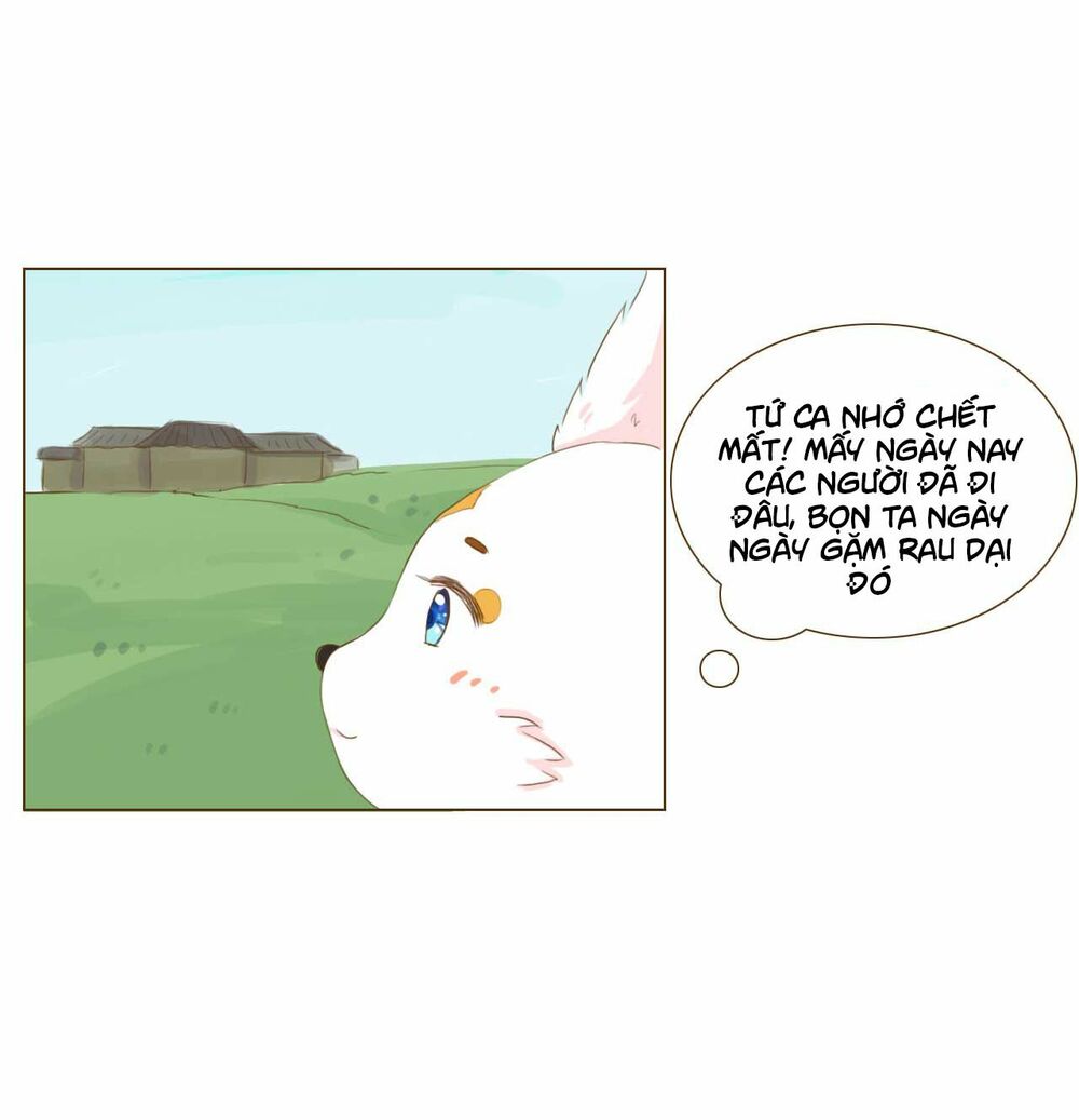 Mẫu Phi Đuôi Của Người Lộ Ra Rồi Kìa: Chapter 53