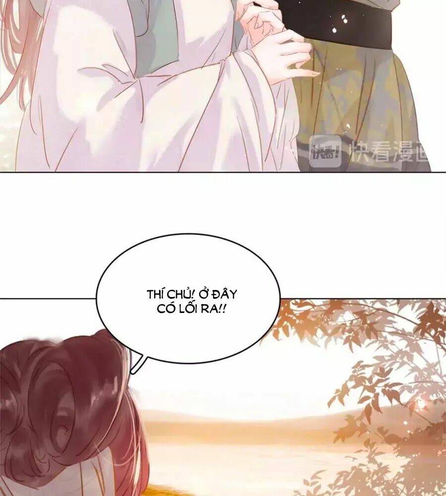 Tiểu Sư Phụ, Tóc Giả Của Ngài Rơi Rồi!: Chapter 20