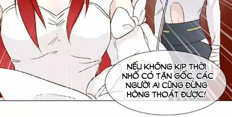 Ngôi Sao Vụn Vỡ: Chapter 44