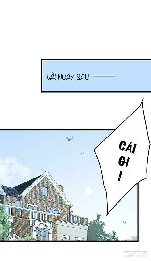 Chào Buổi Sáng, Ức Vạn Manh Thê: Chapter 4