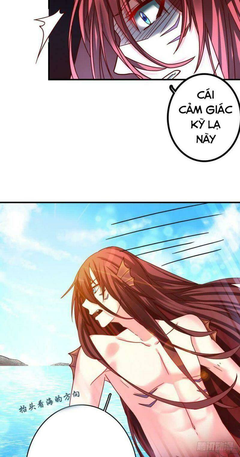 Nhân Ngư Học Trưởng, Đừng Ôm Ta!: Chapter 69