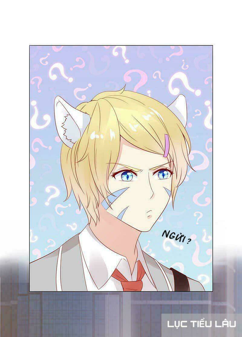 Băng Sơn Học Trưởng Không Được Chọc: Chapter 15