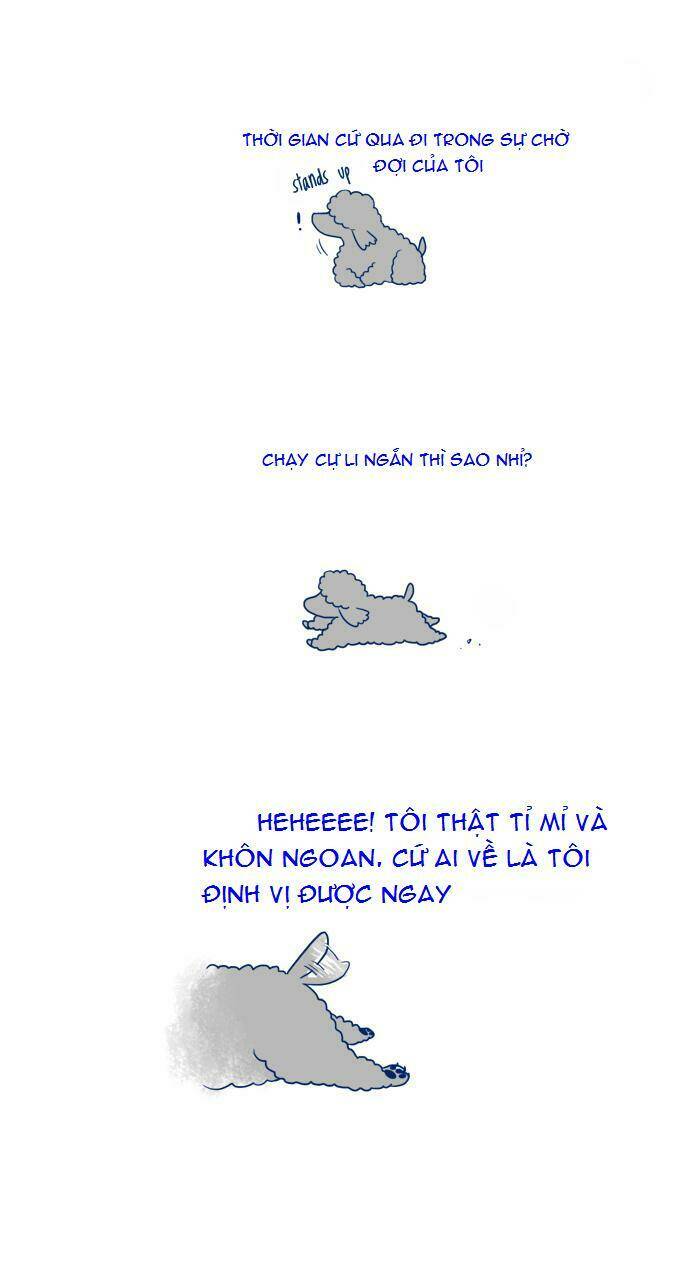 My Young Cat And My Old Dog: Chapter 3