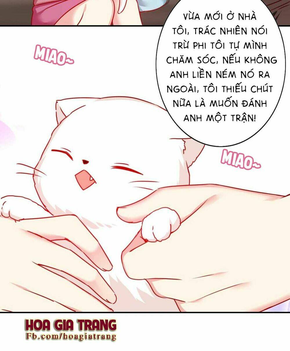 Phục Thù Thiếu Gia Tiểu Điềm Thê: Chapter 15