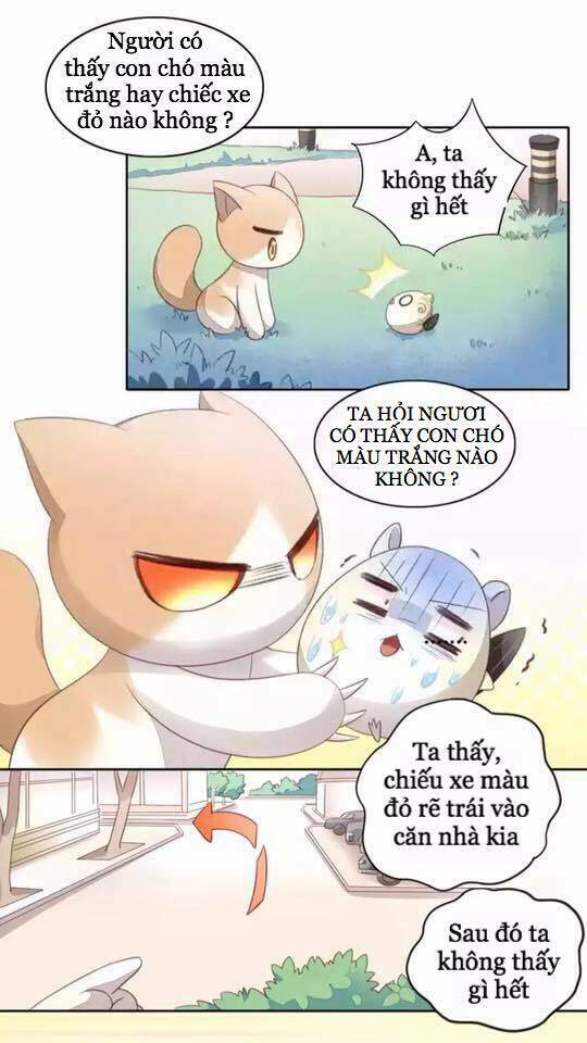 Dưới Móng Vuốt Mèo: Chapter 15