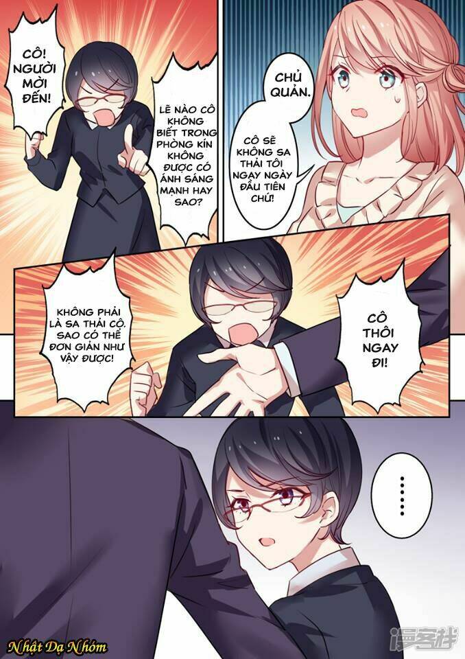 Mùa Hè Của Tổng Tài: Chapter 1