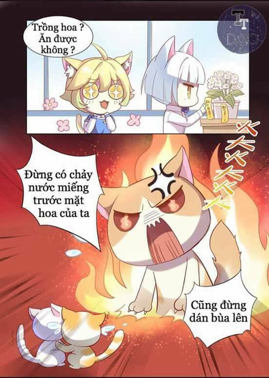 Dưới Móng Vuốt Mèo: Chapter 2