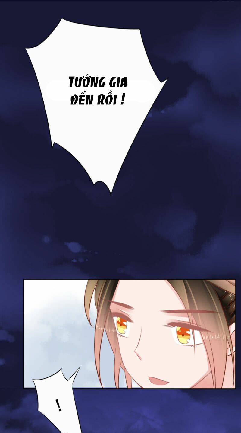 Solo Đi Vương Gia: Chapter 95
