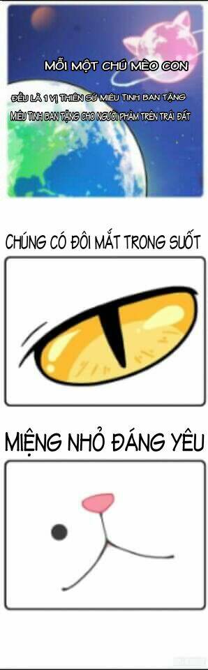 Hello Dư Tuyết Đặc: Chapter 1