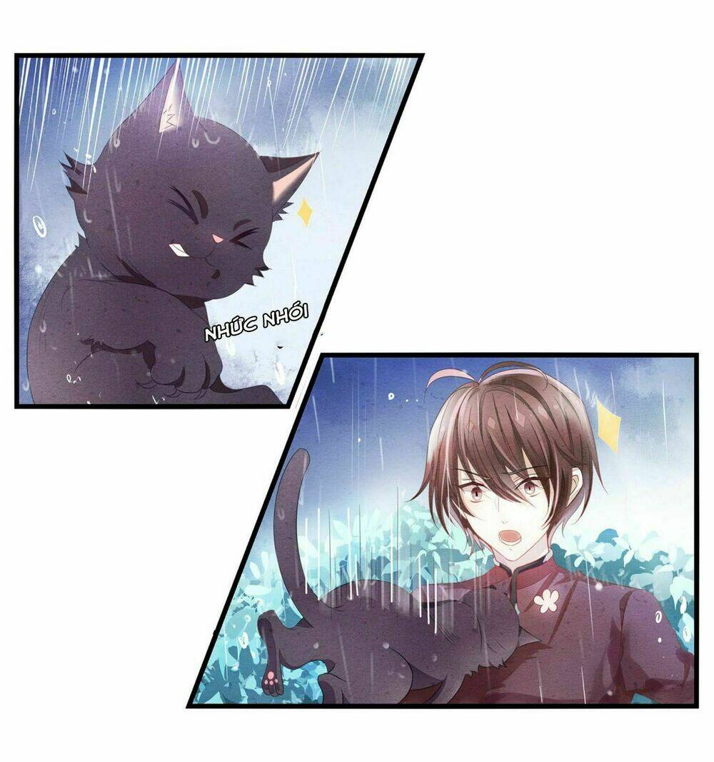 Làm Mèo Của Ta: Chapter 0