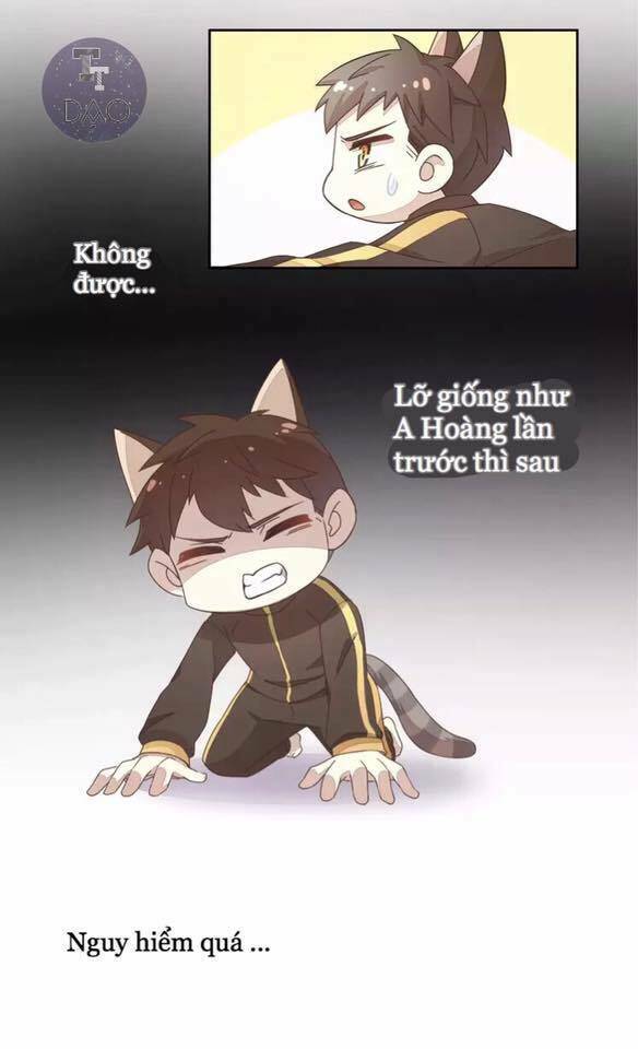 Dưới Móng Vuốt Mèo: Chapter 19