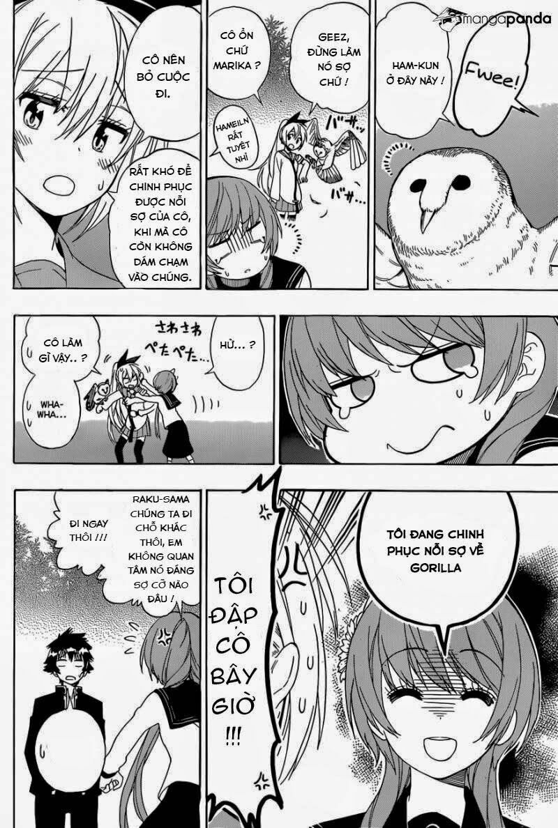Tình Yêu Ngang Trái: Chapter 142