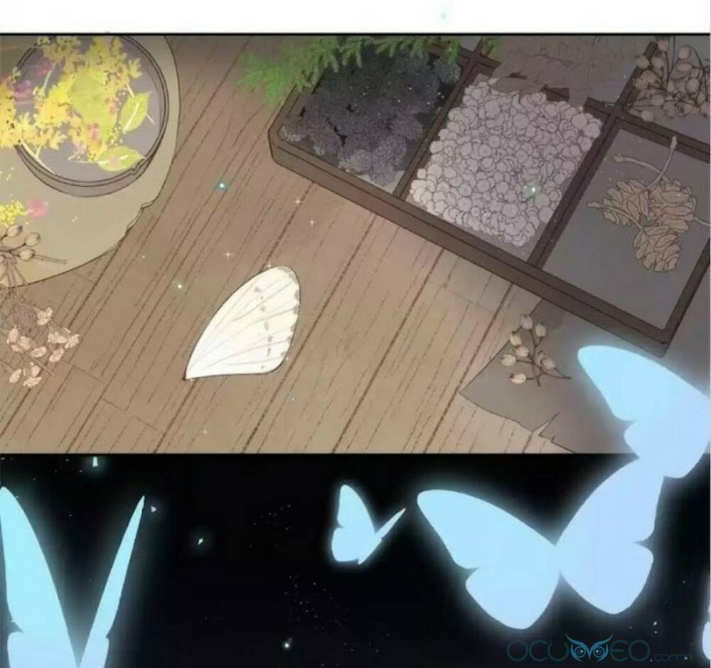 Sos! Tôi Đã Yêu Một Con Sâu Bướm (Phần 2): Chapter 15