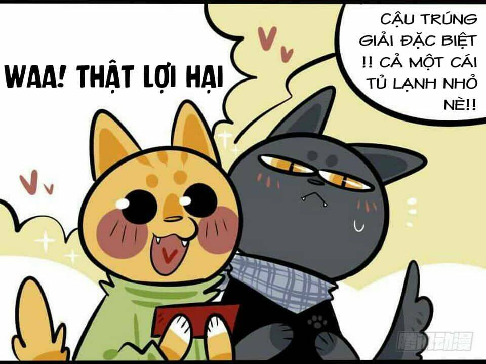 Đời Không Như Mình Tưởng: Chapter 17