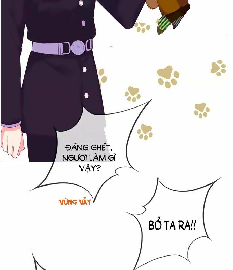 Đừng Nghịch, Ta Chỉ Muốn Yên Tĩnh: Chapter 43