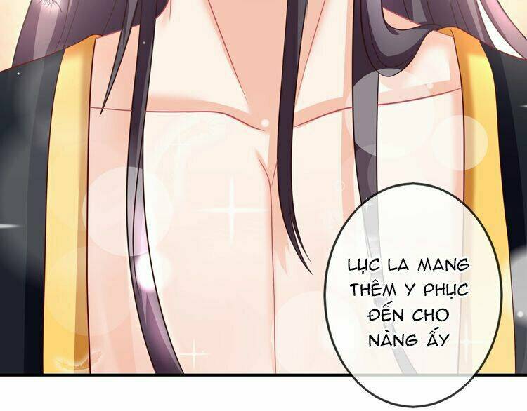 Báo Cáo Vương Gia, Vương Phi Là Một Con Mèo: Chapter 4