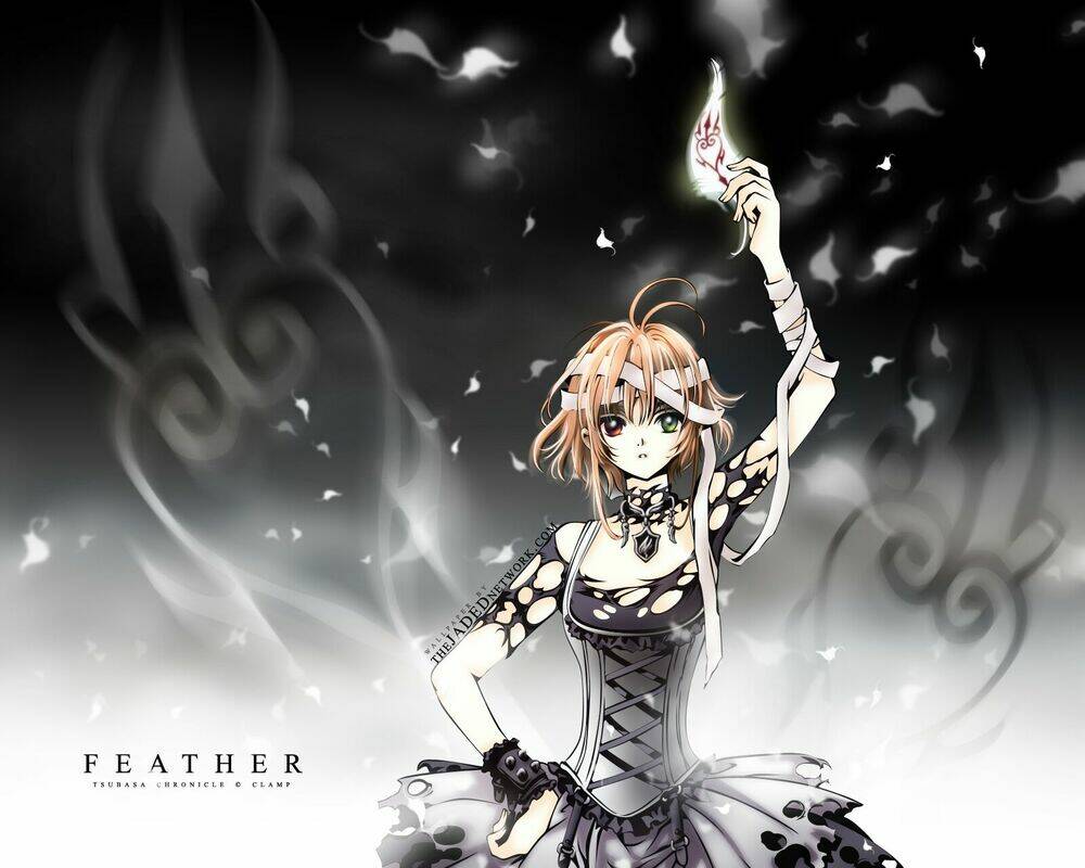 Wallpaper: Chapter 8