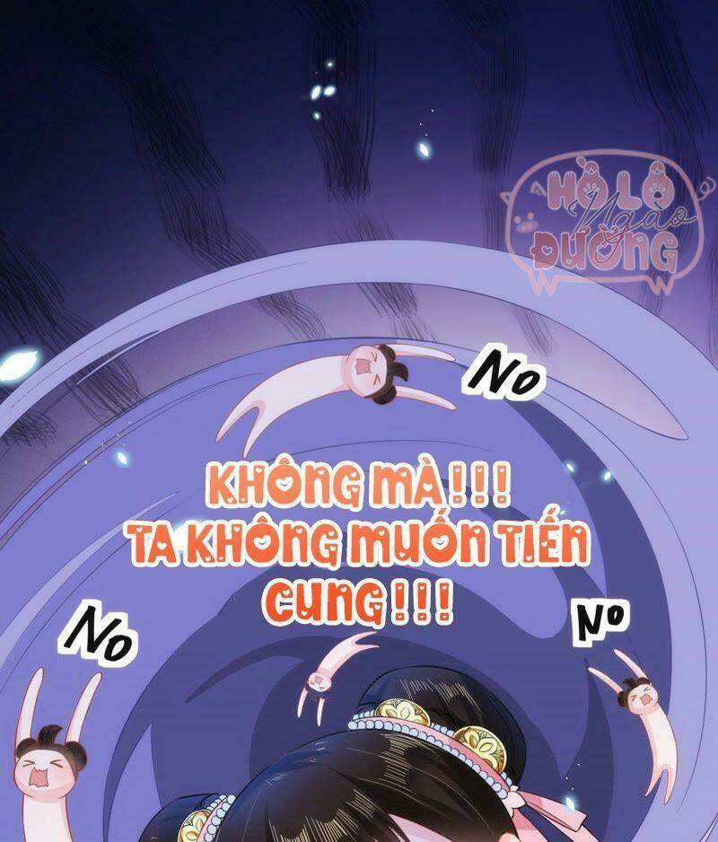 Quận Chúa Vững Vàng, Thiết Lập Nhân Vật Không Thể Vỡ: Chapter 23