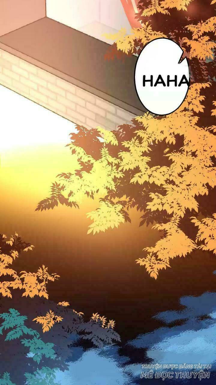 Bản Hợp Đồng Của Tổng Tài Lạnh Lùng: Chapter 5