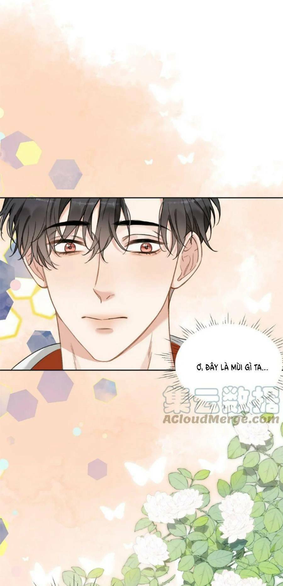 Dĩ Ái Chi Danh: Chapter 37