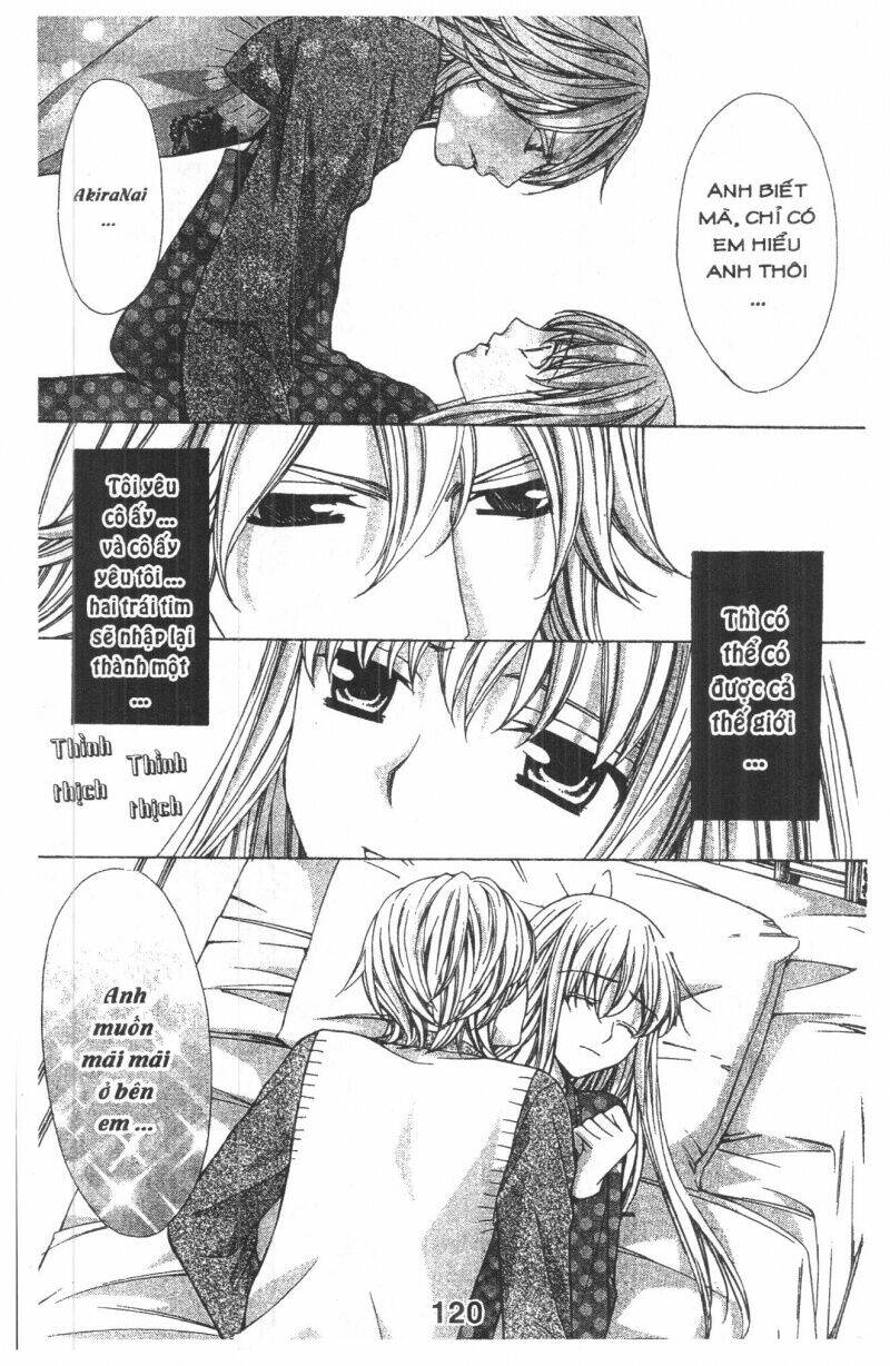 Trái Tim Kim Cương: Chapter 3