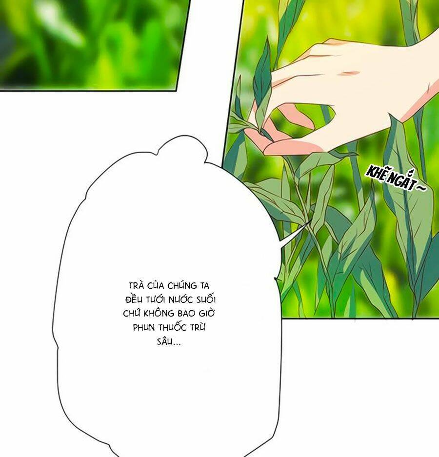 Bạn Trai Là Ngôi Sao: Chapter 72