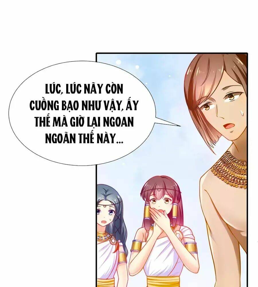 Sủng Hậu Của Vương: Chapter 1