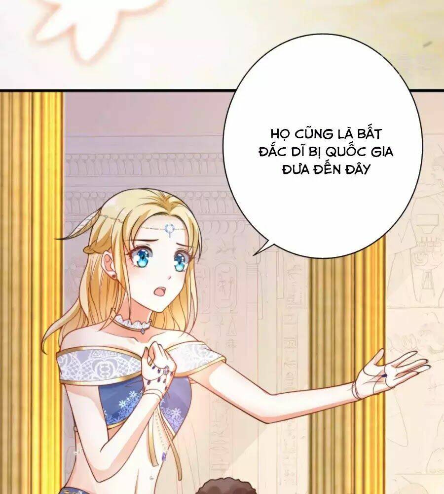 Sủng Hậu Của Vương: Chapter 22